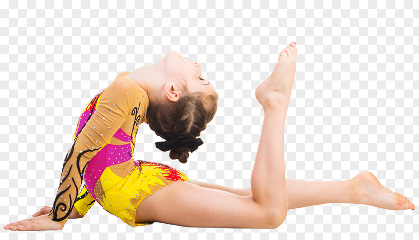 PE Teacher Dress Code Gymnastics Photography Image Shutterstock PNG