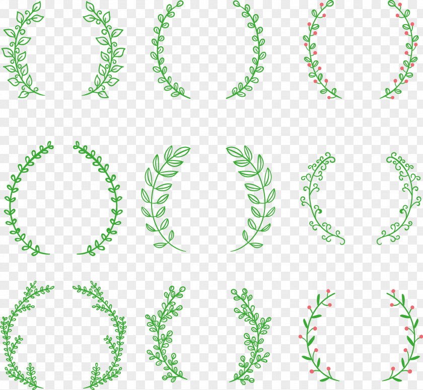 Vector Hand Painted Olive Branch Laurel Wreath Drawing Clip Art PNG
