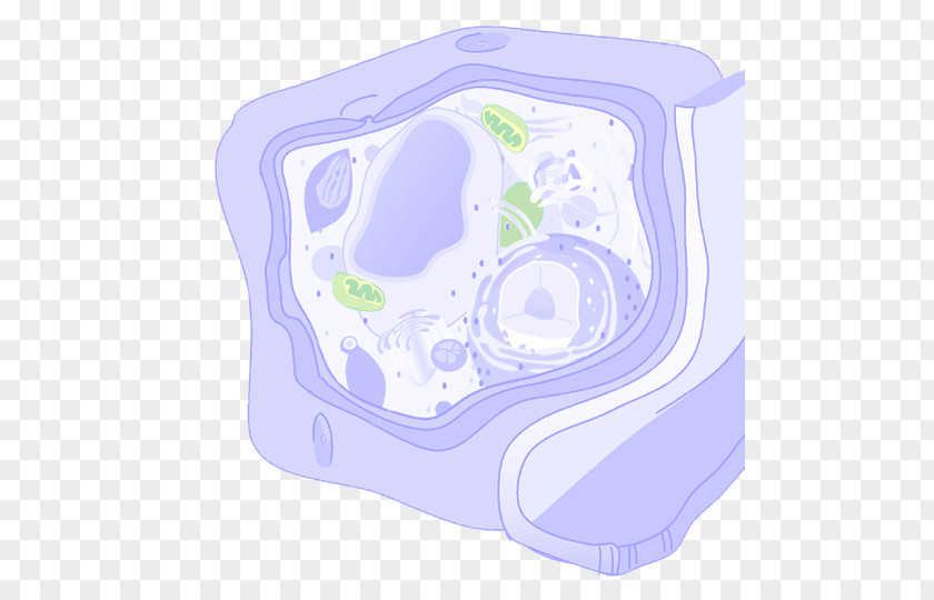 Design Plant Cell Organism PNG