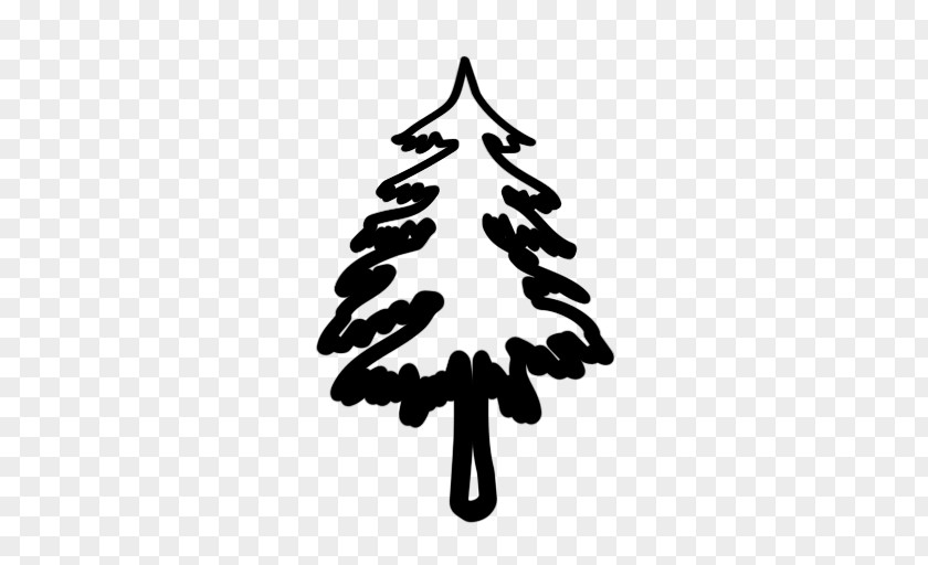 Evergreen Tree Clipart Pine Clip Art PNG
