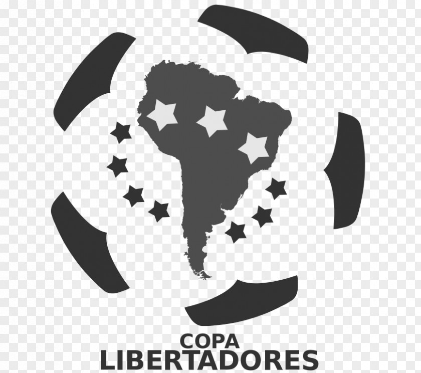 Football Boca Juniors Sociedade Esportiva Palmeiras Wikipedia Copa Libertadores PNG