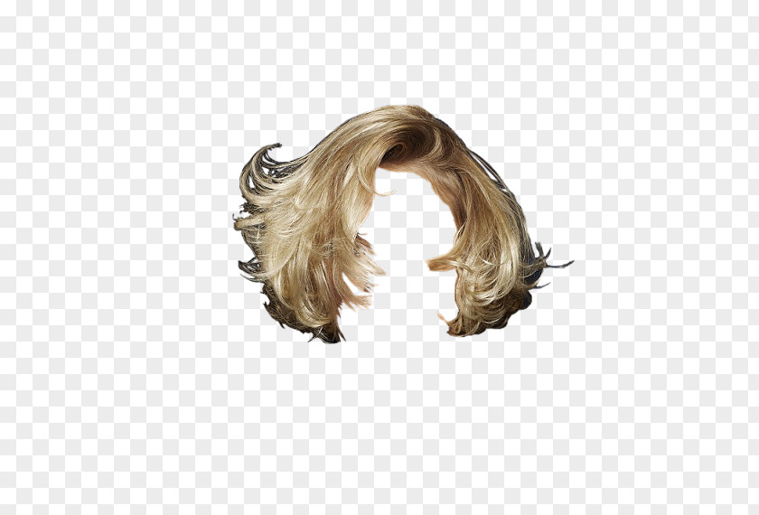 Matt Damon Hobby Wig Hunting Celebrity Hair PNG