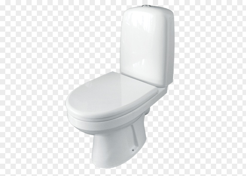 Toilet Flush Squat Baths PNG