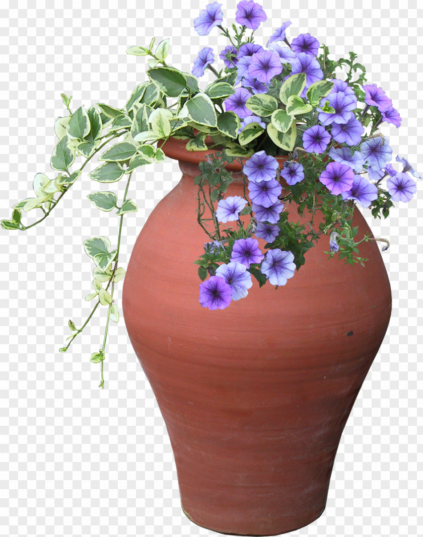 Violet Cut Flowers Floral Design Plant PNG