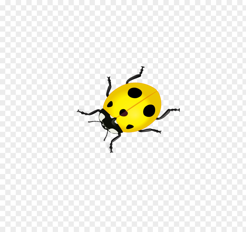 Yellow Ladybug Volkswagen Beetle Ladybird PNG