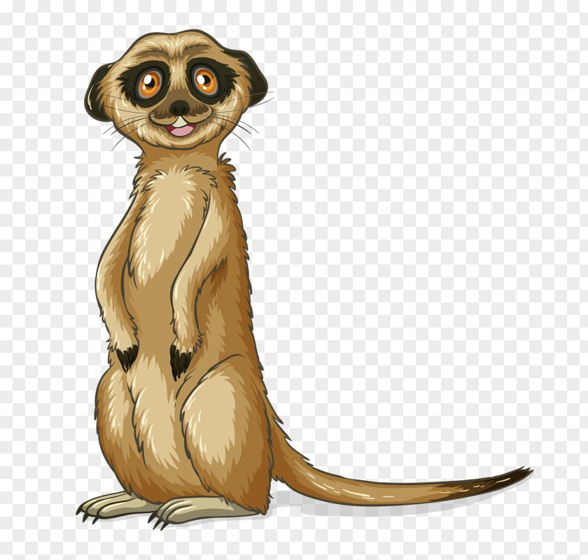 Cute Little Raccoon Meerkat Royalty-free Clip Art PNG