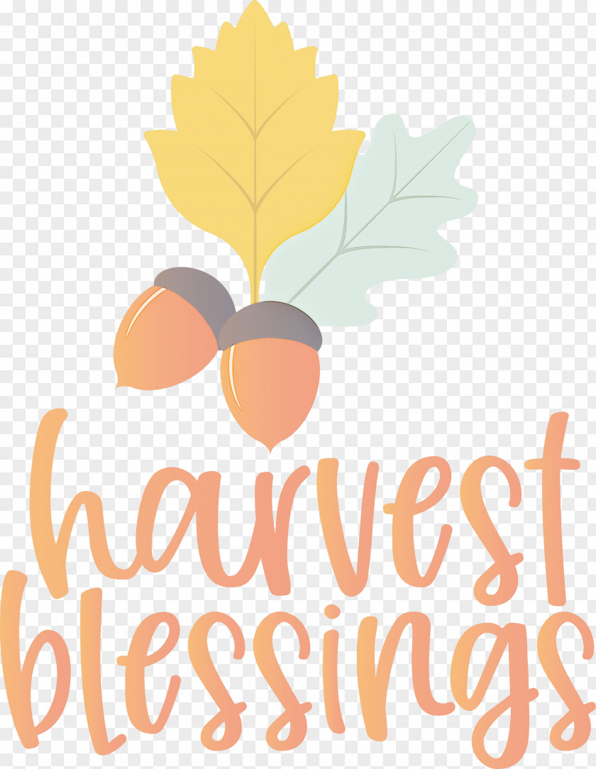 Harvest Autumn Thanksgiving PNG