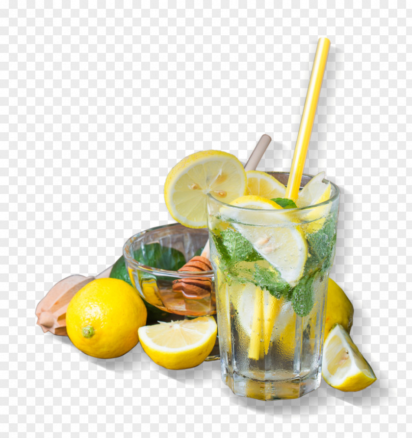 Lemonade Cocktail Garnish Mint PNG