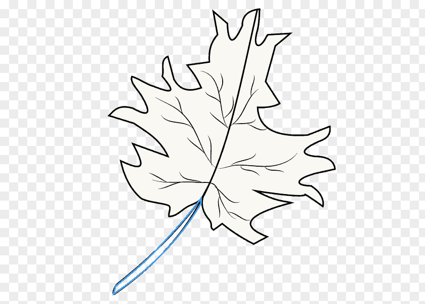 Maple Leaves Clip Art Leaf Twig Plant Stem PNG