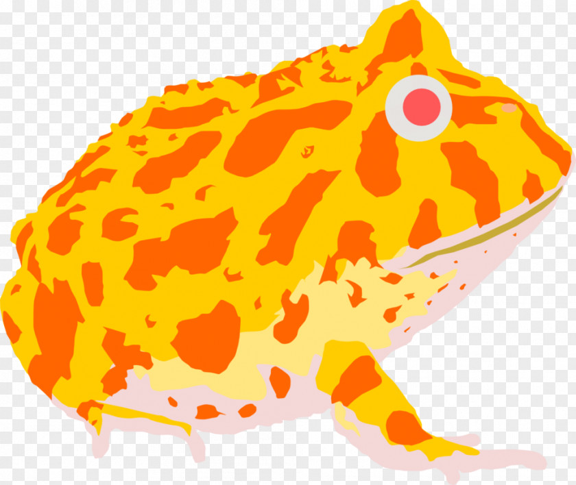 Pac Man Pac-Man Argentine Horned Frog Toad True PNG