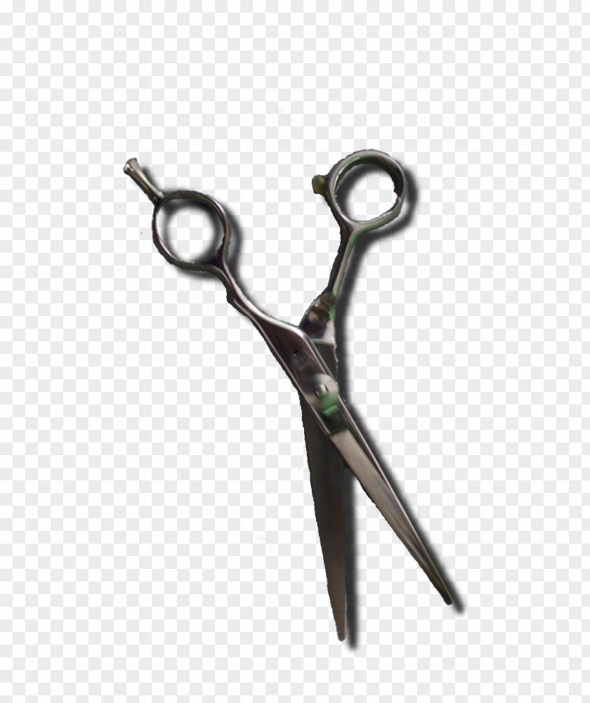 Haircut Tool Hair's Center Cosmetologist Scissors Cosmetics Hairstyle PNG