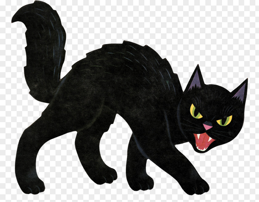 Halloween Decoration Scottish Fold Black Cat Jack-o'-lantern Clip Art PNG