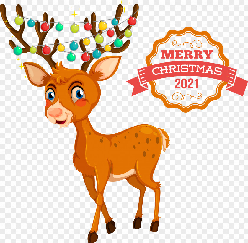 Merry Christmas 2021 2021 Christmas PNG