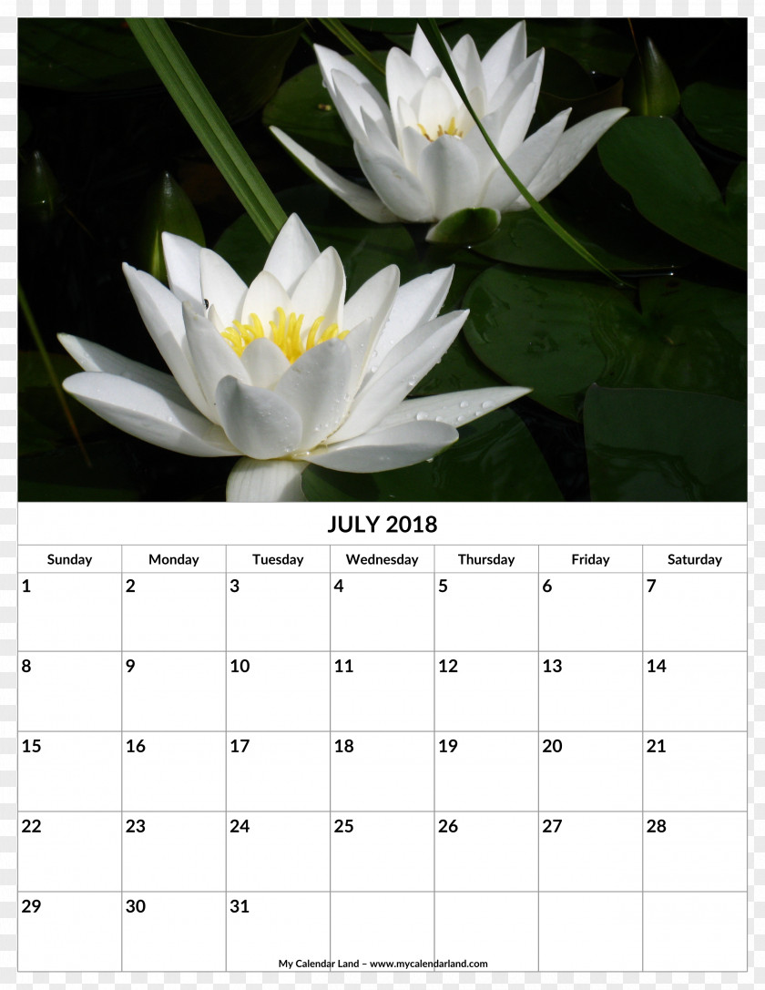 Design Calendar 0 Template Month PNG