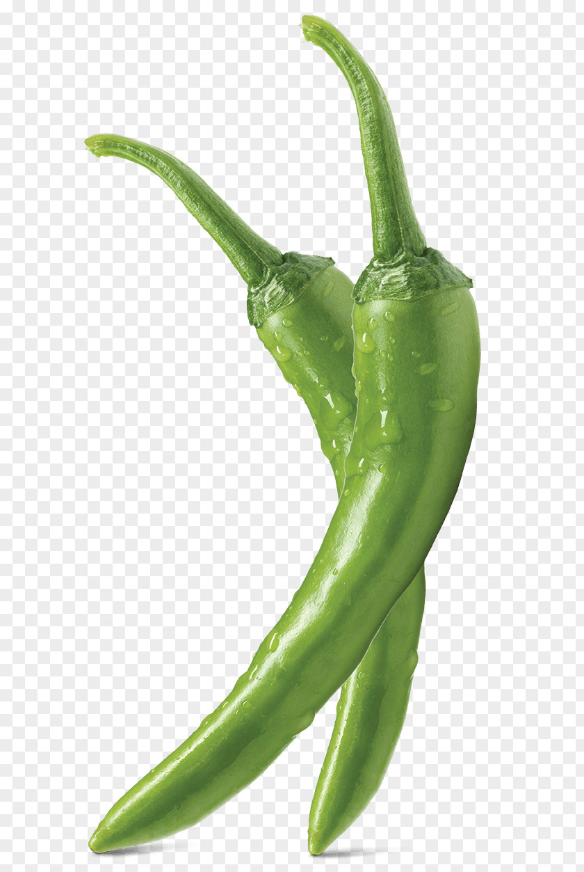 Dry Taste Habanero Serrano Pepper Bird's Eye Chili Jalapeño Pasilla PNG