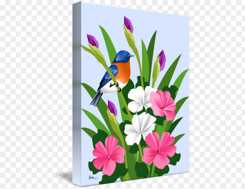 Eastern Bluebird Floral Design Family Violet PNG