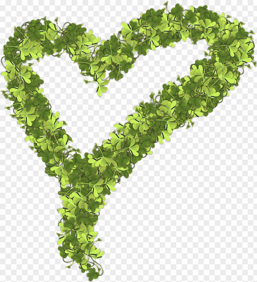 Leaf Heart PNG