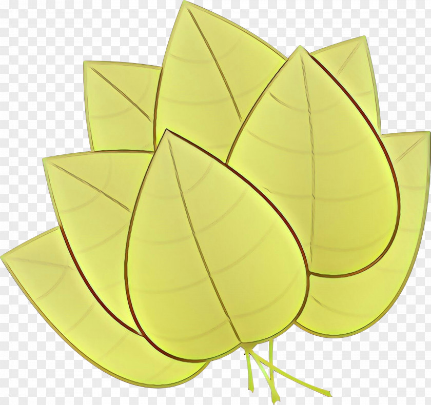Plant Petal Leaf Drawing PNG