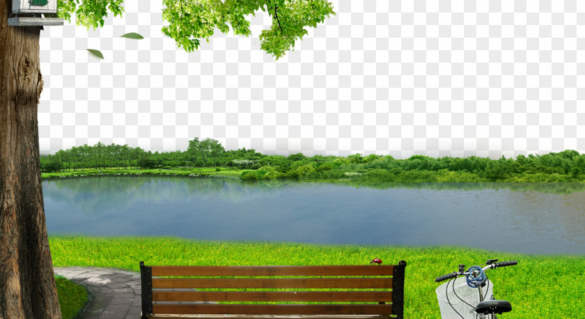 River Meadow Background Material PNG