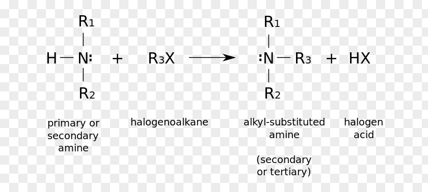 Amine Alkylation Chemical Reaction Organic Compound Atom PNG