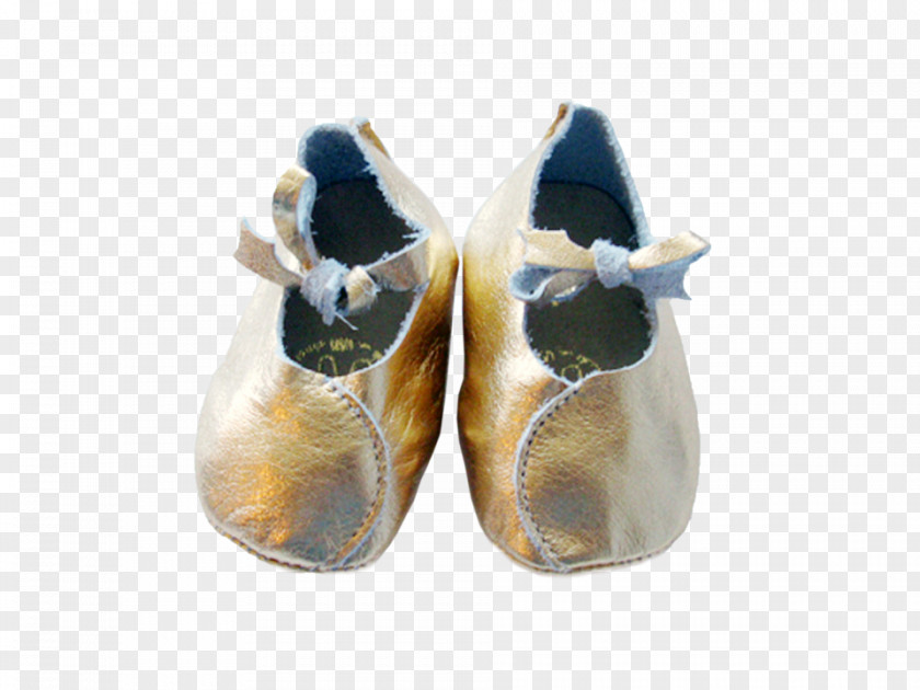 Bear Foot Shoe PNG