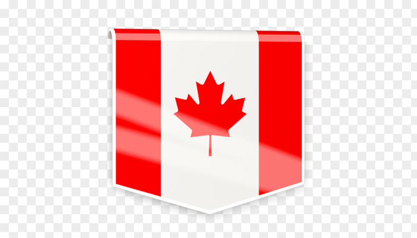 Canada Flag Of United States Maple Leaf PNG
