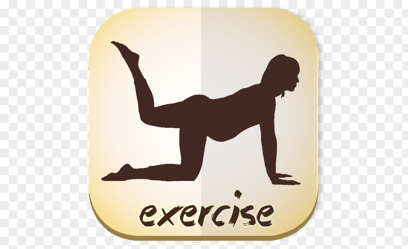 Physical Fitness Animal PNG