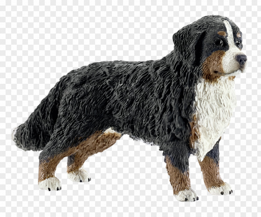 Puppy Bernese Mountain Dog Schleich Toy PNG