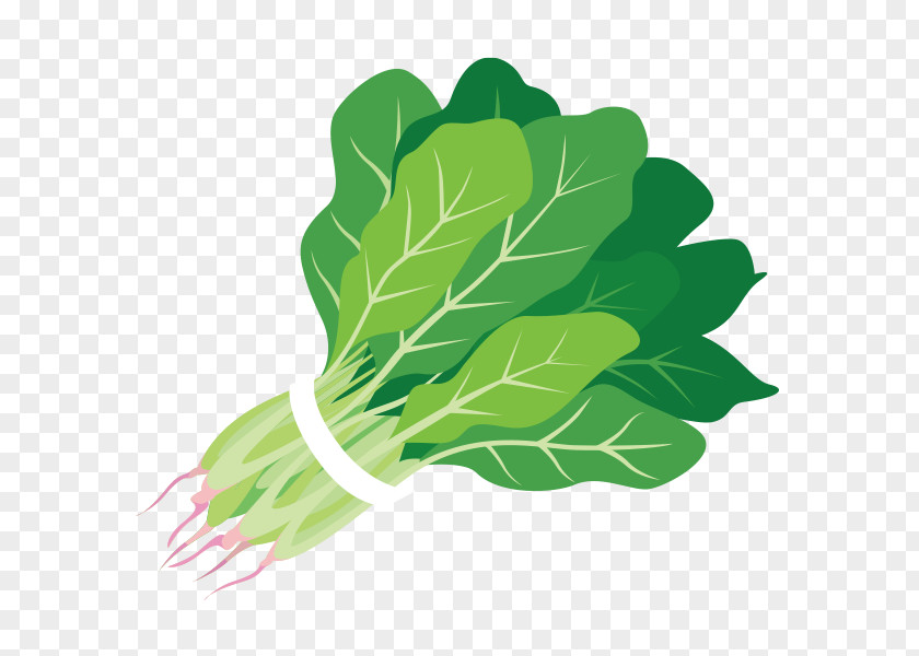 Salad Spinach Food Juice Clip Art PNG