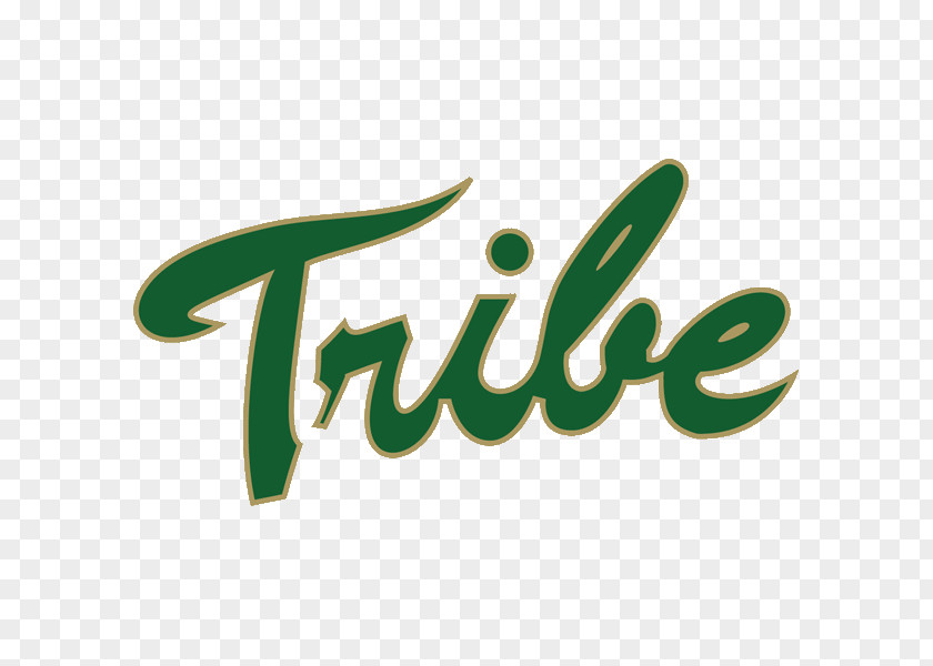 T-shirt William & Mary Tribe Baseball Football Logo Decal PNG