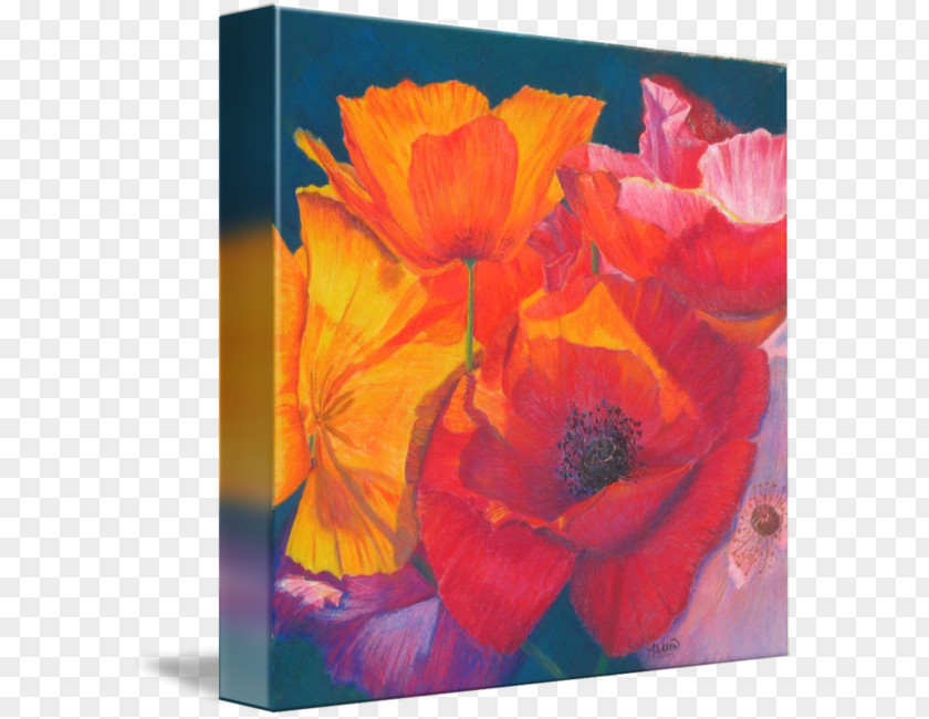 Watercolor Poppy Still Life Photography Acrylic Paint Art PNG