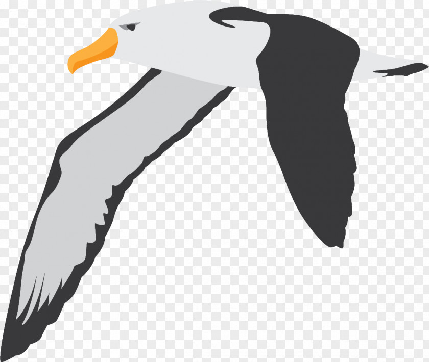 Wild Goose Flying Swan Flight Bird Penguin PNG