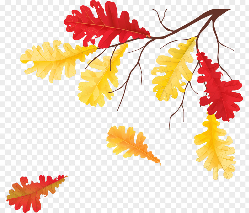 Flower Tree Yellow Leaf Plant Clip Art PNG