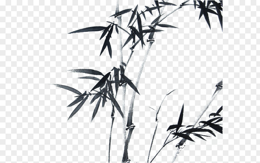 Ink Bamboo Leaves Wash Painting PNG