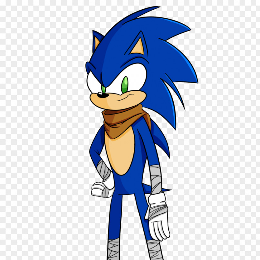 Sonic The Hedgehog Boom: Rise Of Lyric Knuckles Echidna Shadow PNG