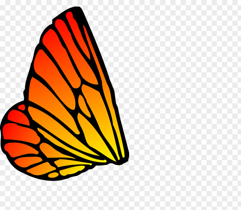 Butterfly Monarch Drawing Clip Art PNG