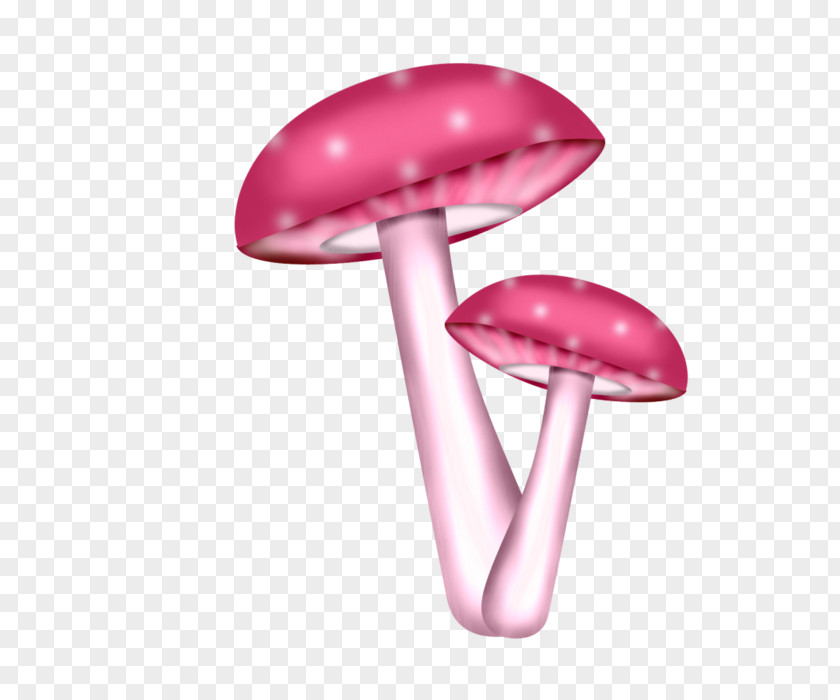 Design Mushroom PNG