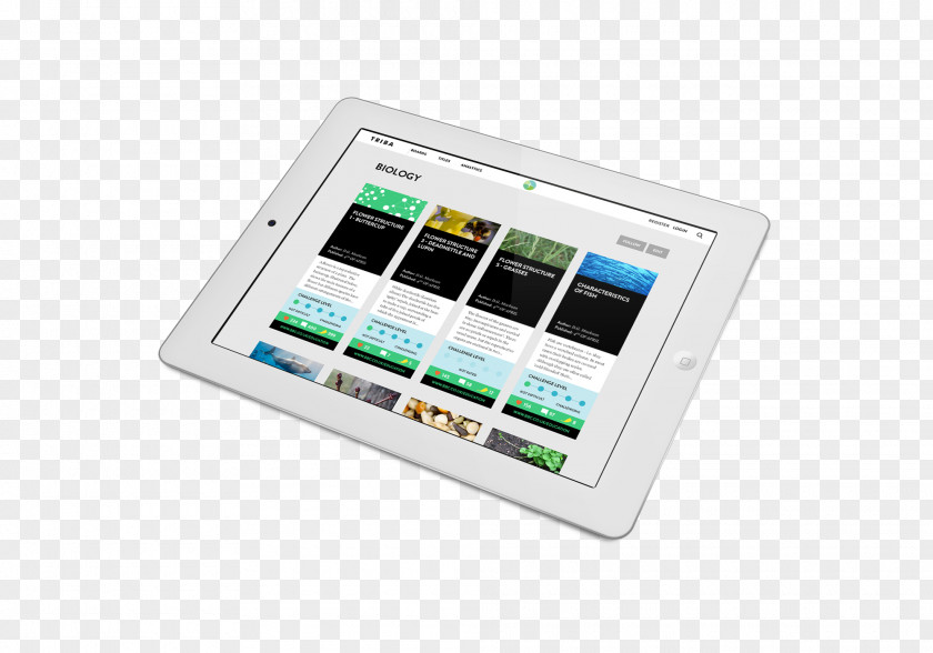 Electronics Gadget Multimedia PNG