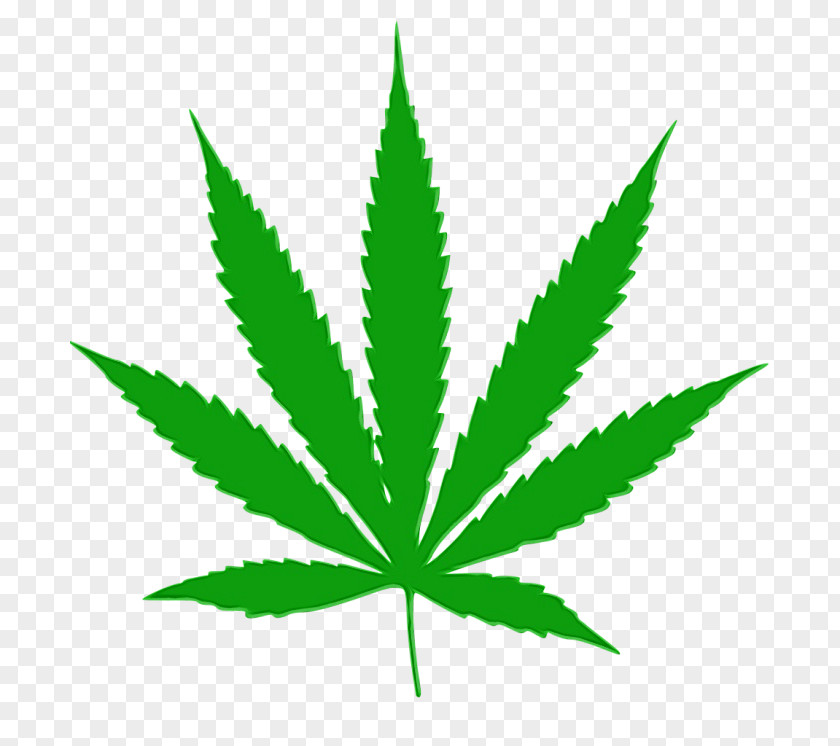 Flower Herbal Cannabis Leaf Background PNG