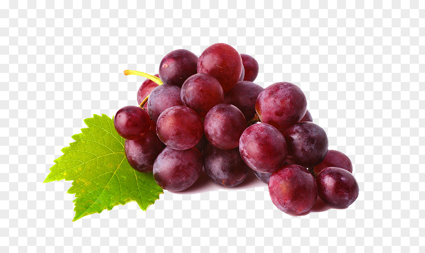Juice Common Grape Vine Wine Clip Art PNG