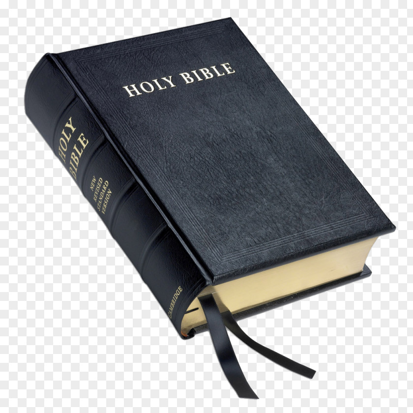 New Revised Standard Version Catholic Edition The Oxford Annotated Bible PNG