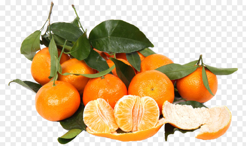 Orange Clementine Mandarin Food Tangerine PNG