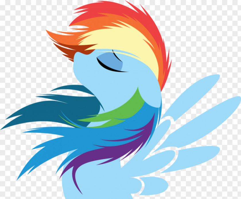 Rainbows Rainbow Dash Pinkie Pie Rarity Twilight Sparkle Pony PNG
