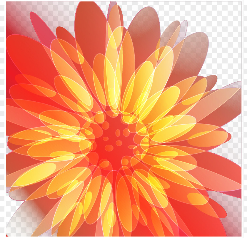 Yellow Daisy Dream Flower Petal Template Wallpaper PNG