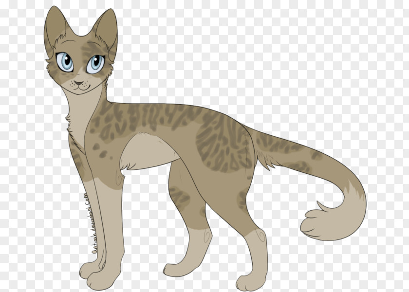 Cat Whiskers Domestic Short-haired Wildcat Warriors PNG