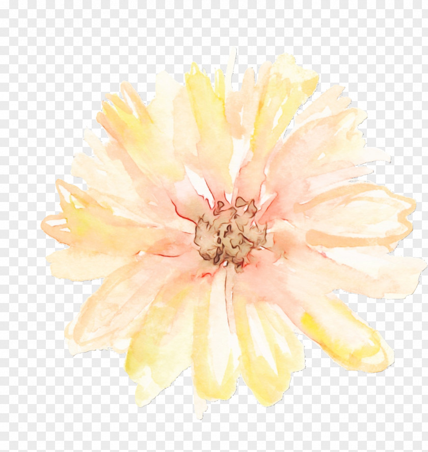 Common Zinnia Wildflower Pink Flower Cartoon PNG