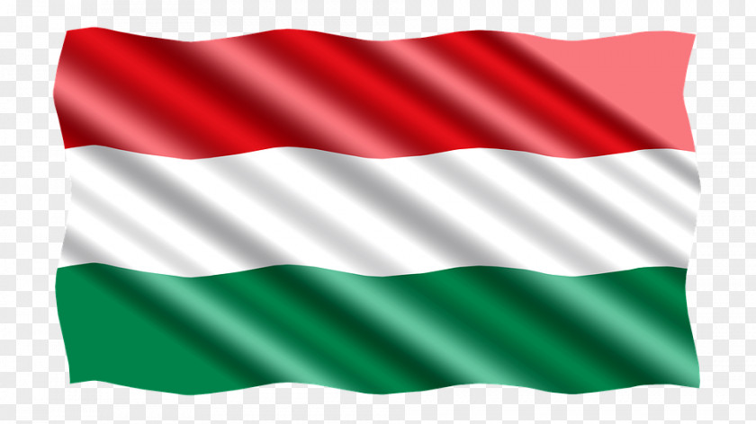 Flag Of Hungary Volkshochschule Ravensberg National PNG