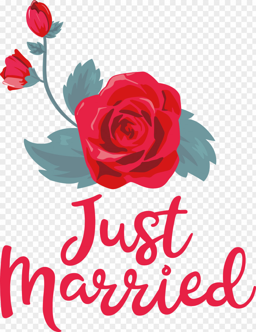 Just Married Wedding PNG