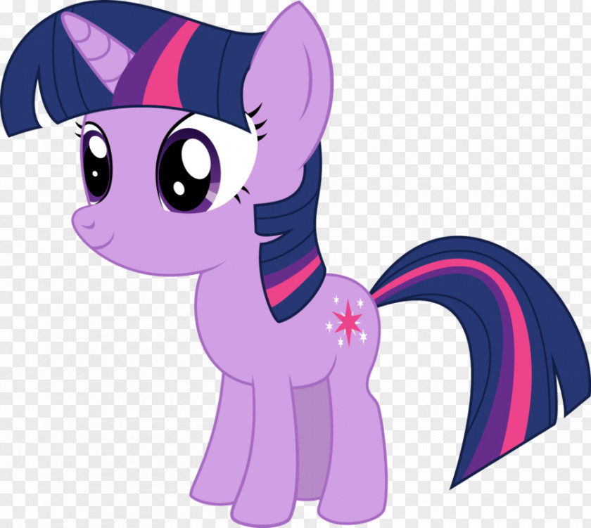 My Little Pony Friendship Is Magic Season 5 Twilight Sparkle Rarity The Saga PNG