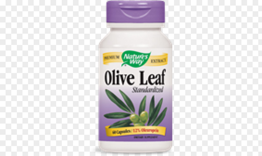 Olive Leaf Dietary Supplement Oleuropein Extract PNG